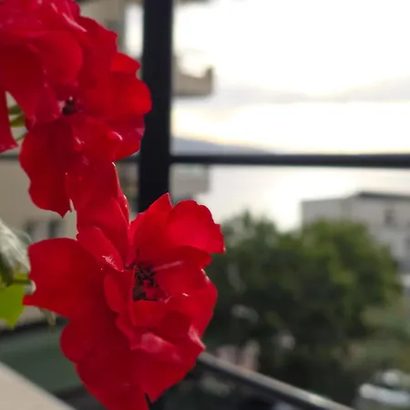 Valza Boutique Hotel-2